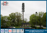 La télécommunication galvanisée domine période de longue durée de Polonais de pylônes de l'électricité